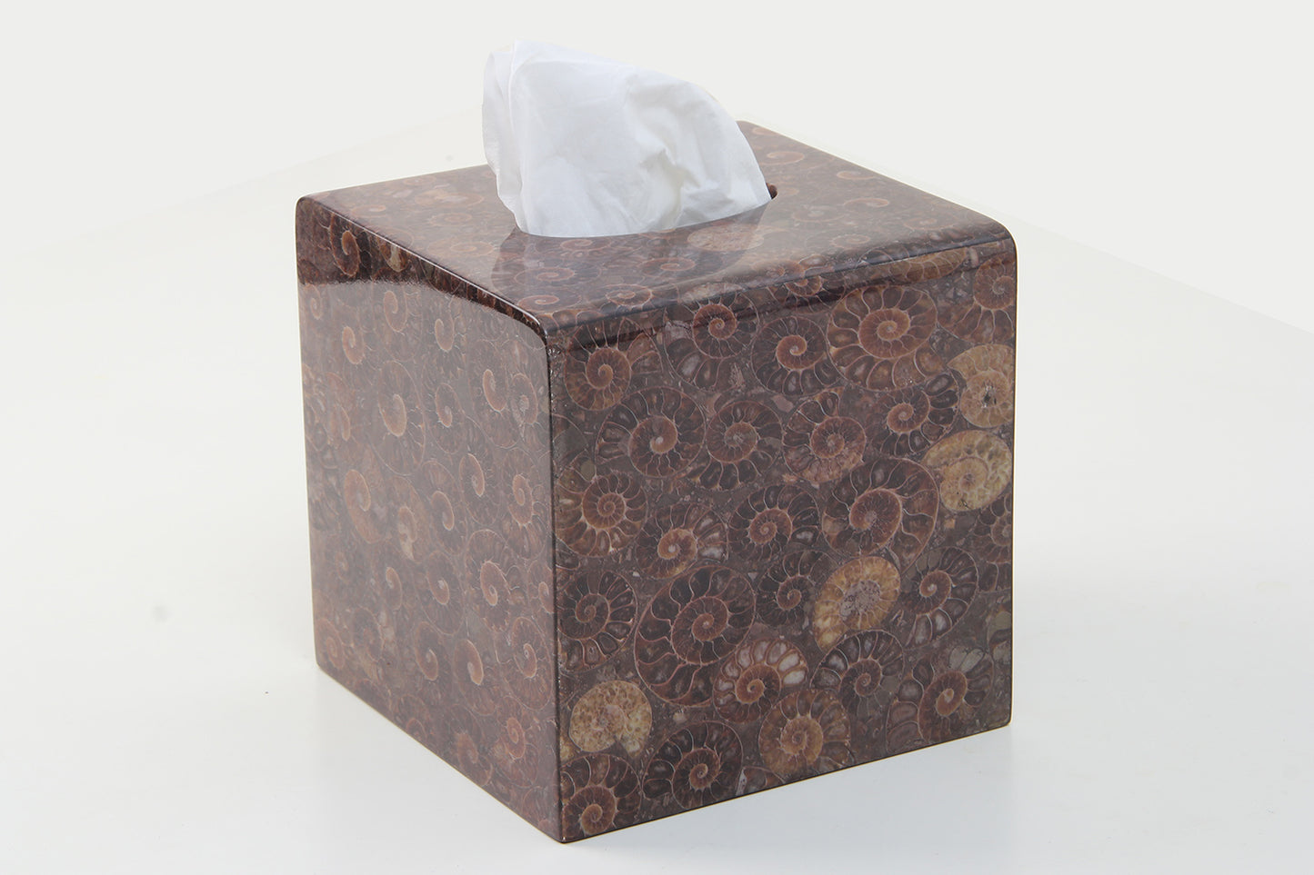 Fossil-Inspired Square Tissue Holder