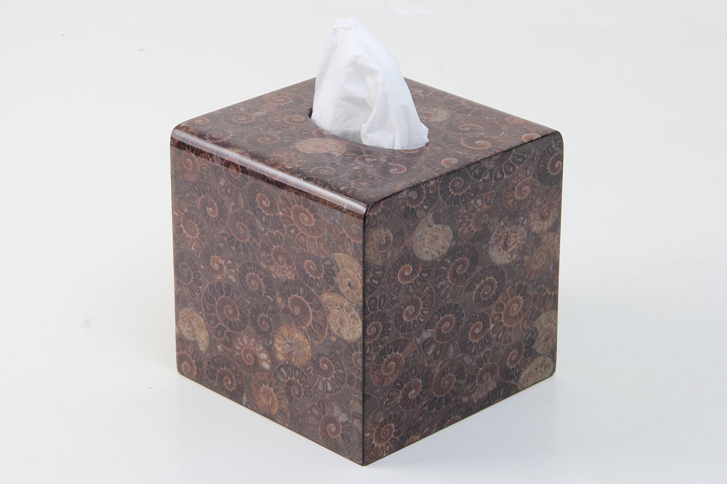 Ammonite Stone Tissue Box Cover