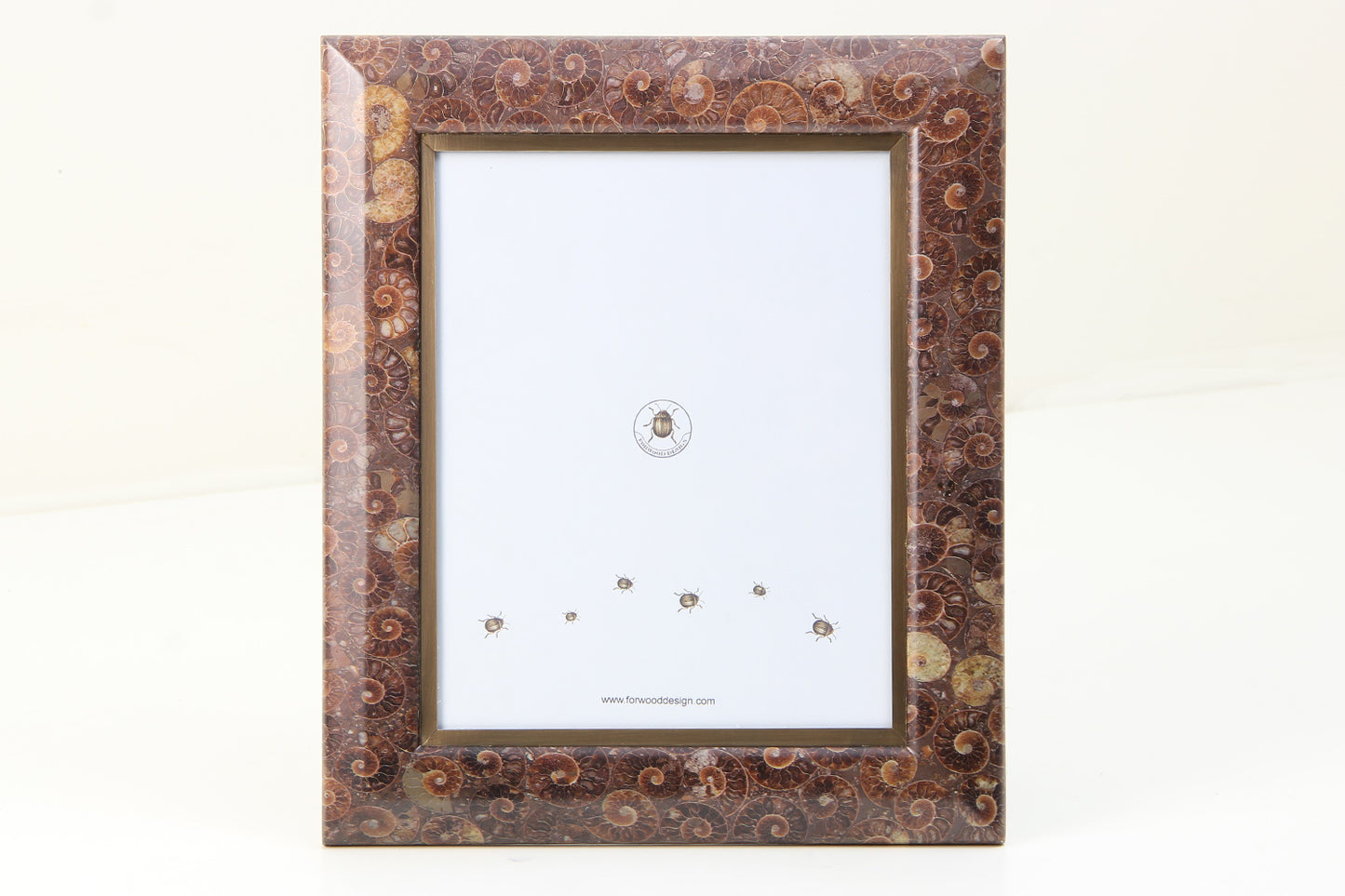 Luxury Ammonite Photo Frame 10 x 8 inches