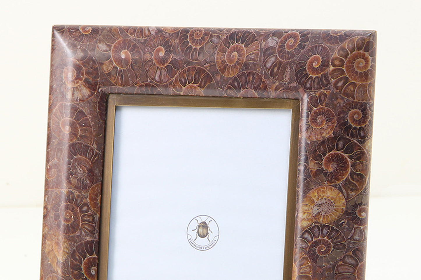 Close up of Ammonite Photo frame 7 x 5
