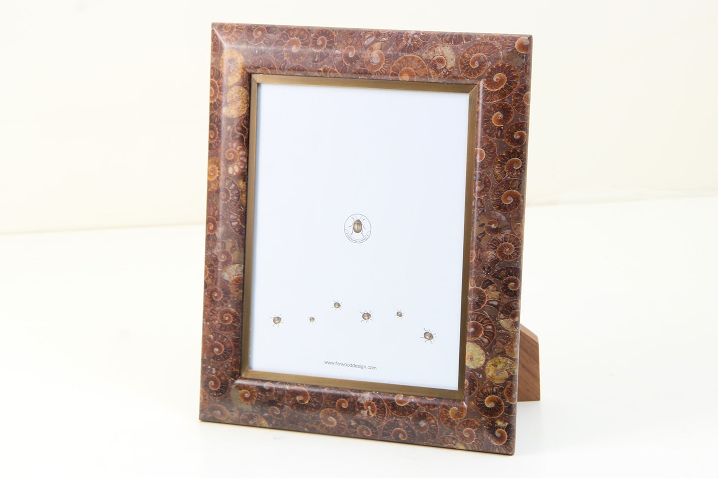 Gorgeous Ammonite Photo Frame 10 x 8