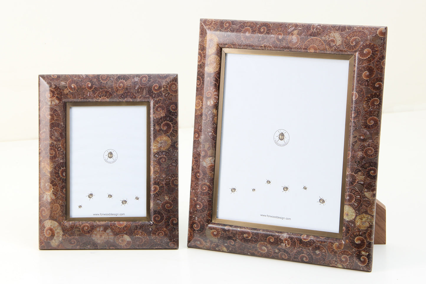 luxury Ammonite Photo Frames7x5 and 10x8