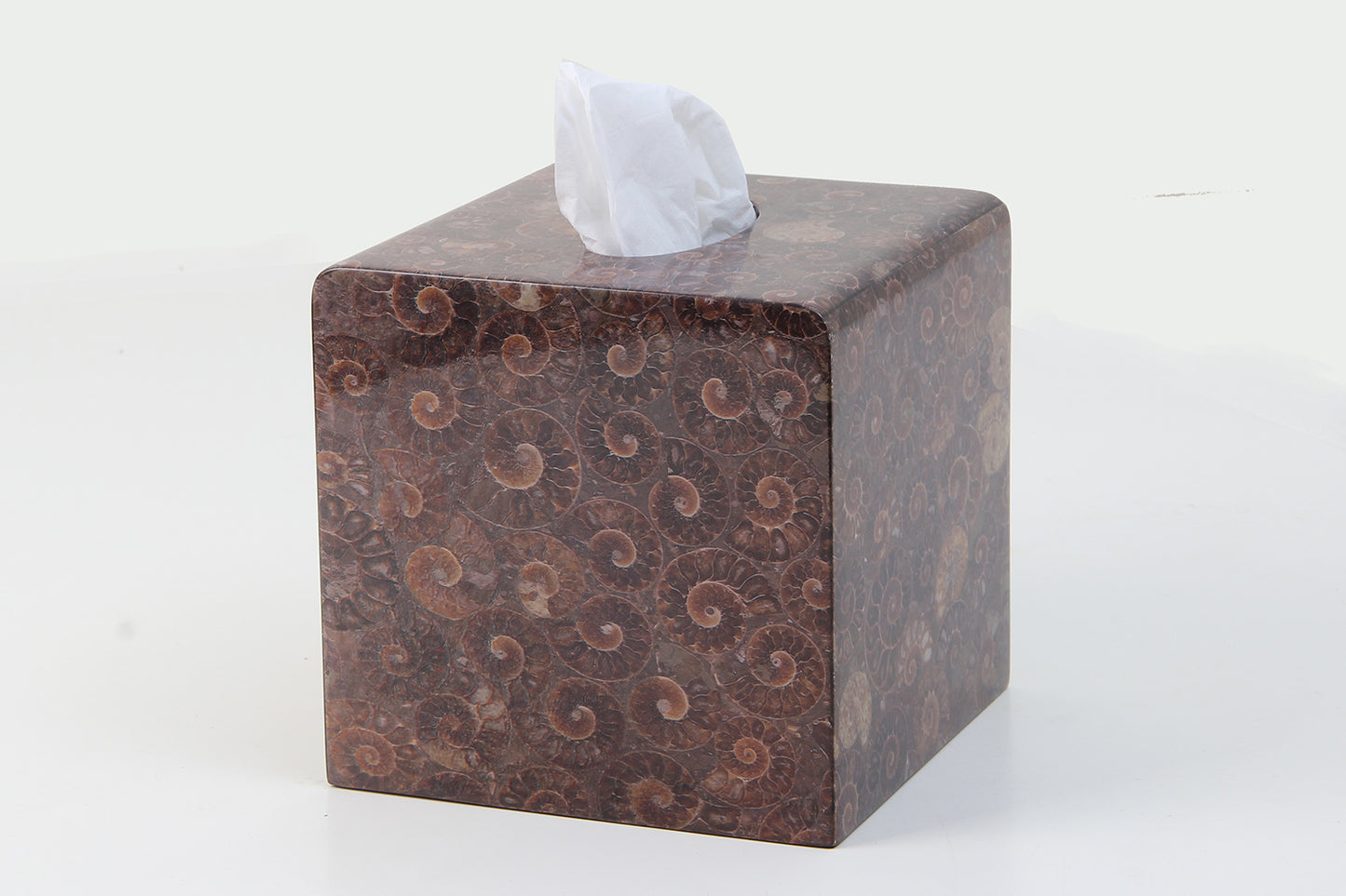 Modern Neutral Tissue Box Shell