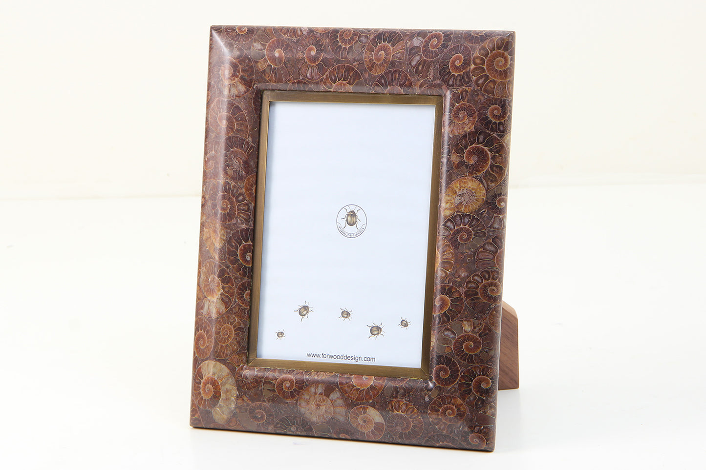 Unique Ammonite Photo Frame 7x5 by Henry Forwood
