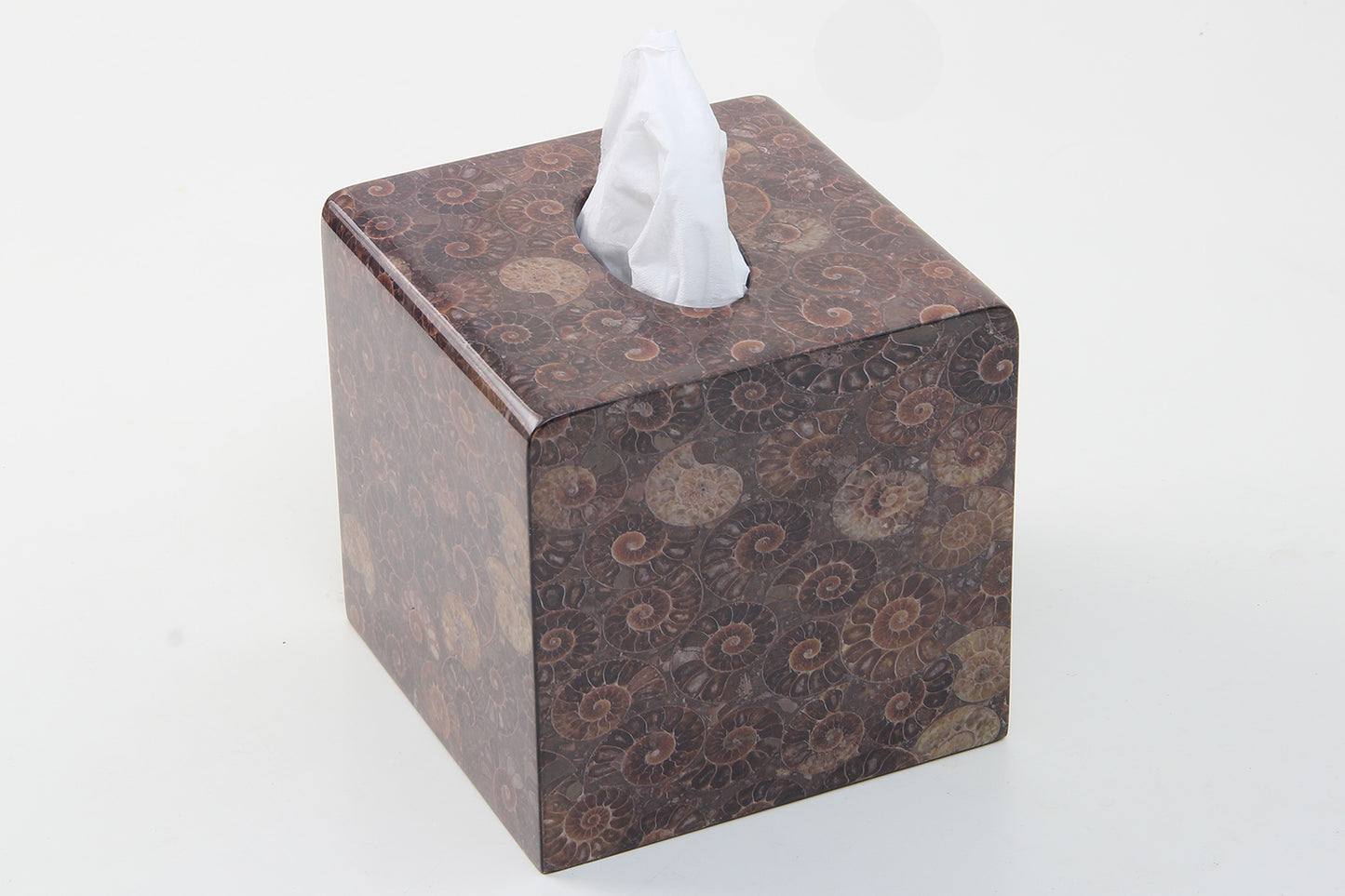 Ammonite Stone Tissue Box Cube