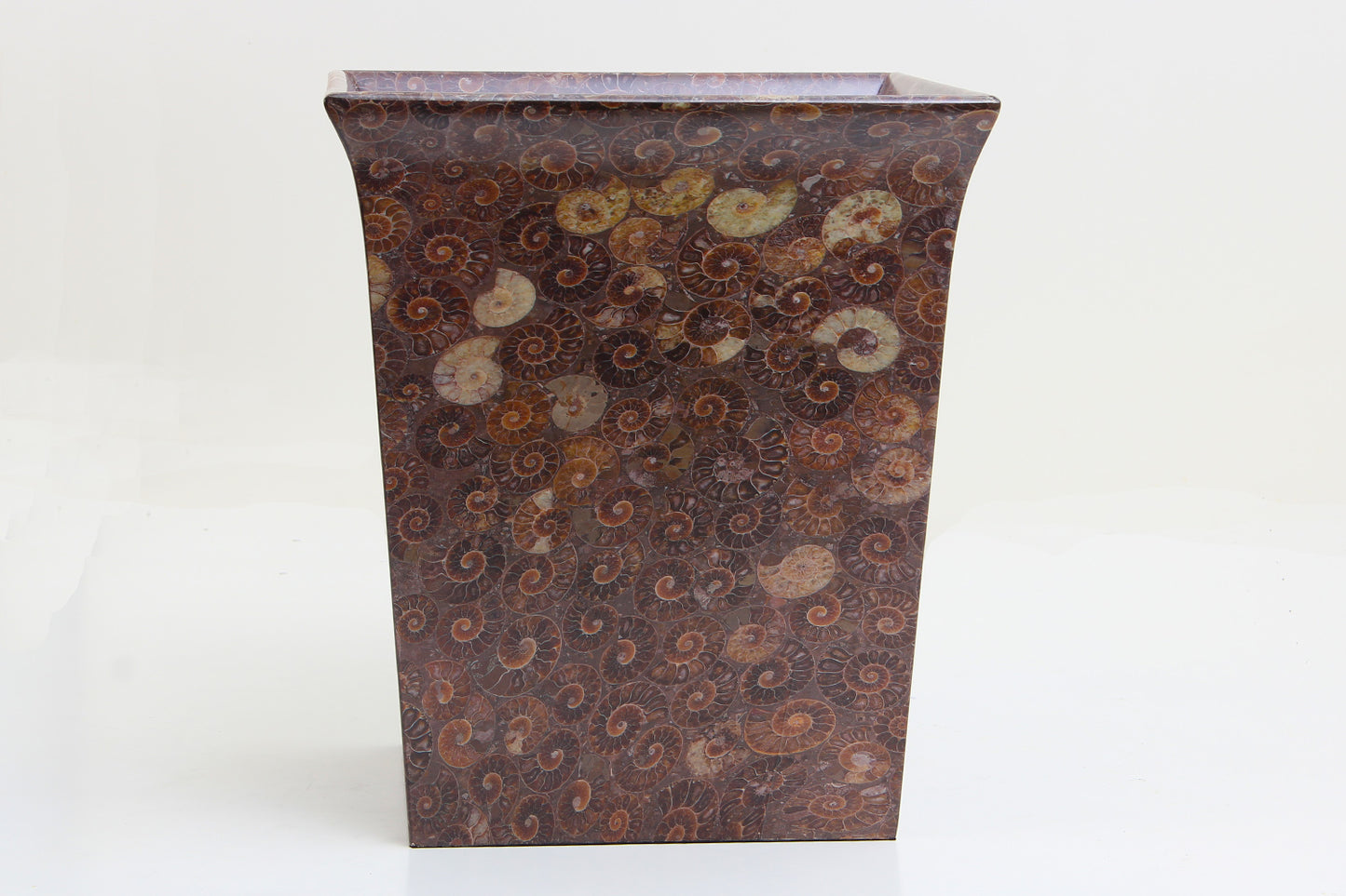 Unique Ammonite Waste Bin