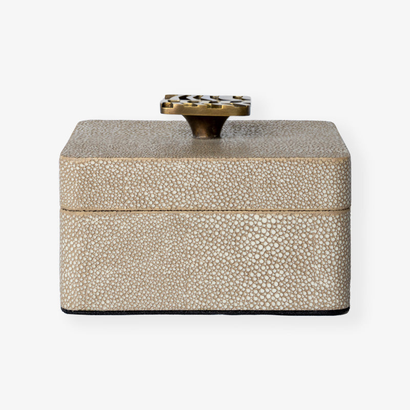 Rachel Winham's Mini Trinket Box in Dune Shagreen