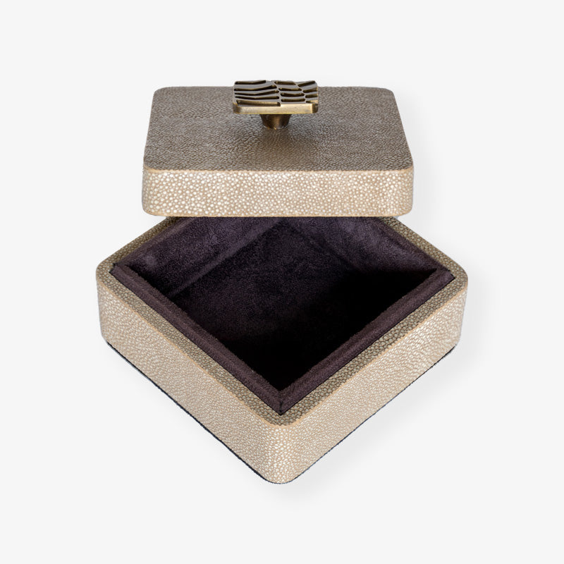 Rachel Winham's Mini Trinket Box in Dune Shagreen