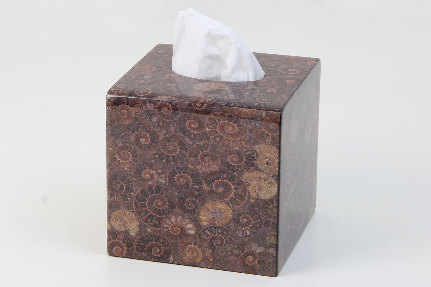 Ammonite Tissue Box holder