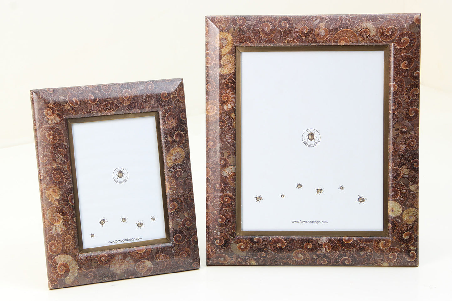 Ammonite Photo Frames by Henry Forwood