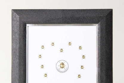 luxury birthday gift present black photo frame in caviar black shagreen