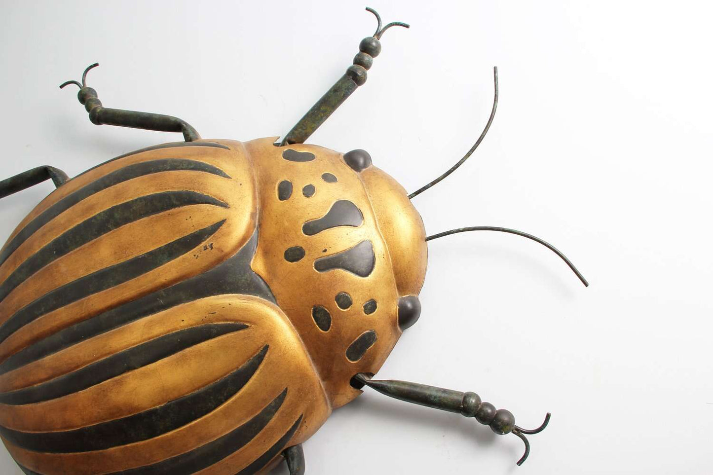 Beetle Bug Wall Art