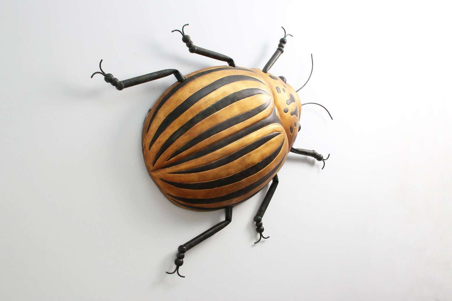 Beetle Bug Wall Art