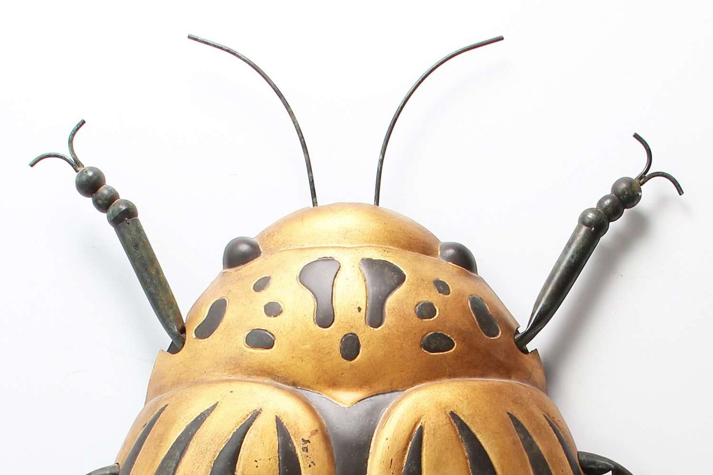 Beetle Bug Wall Art