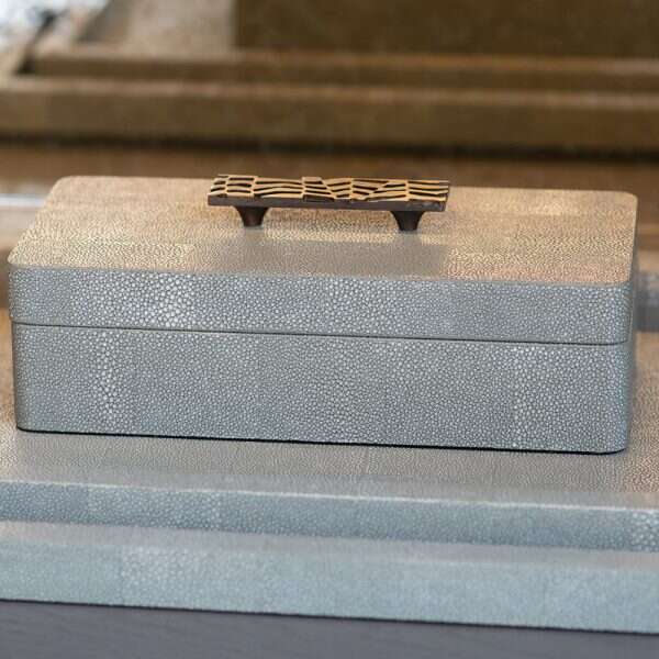 Jewelry box treasure box in midnight shagreen