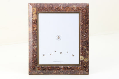 Luxury Ammonite Photo Frame 10 x 8 inches