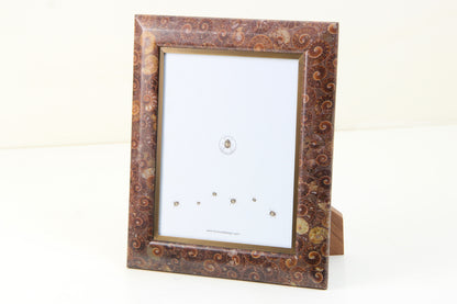 Gorgeous Ammonite Photo Frame 10 x 8