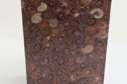 Ammonite Waste paper Bin detail