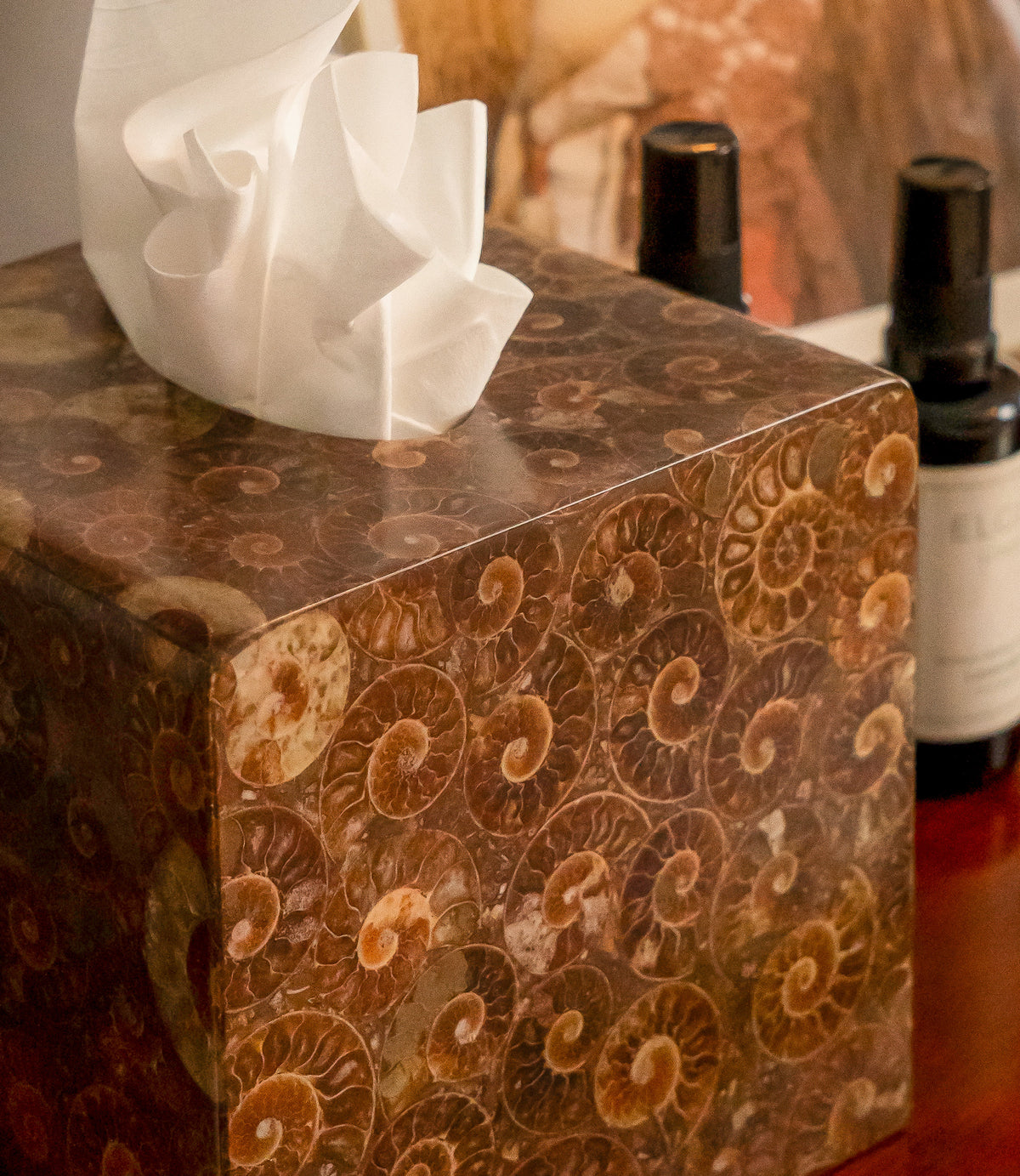 Ammonite Tissue Box Holder