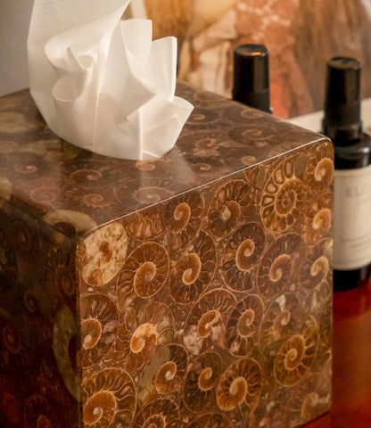 Ammonite Tissue Box Holder