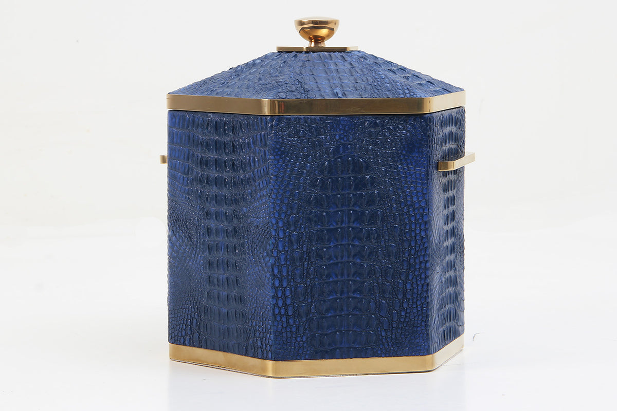 Unique Blue Ice bucket for Home entertainers