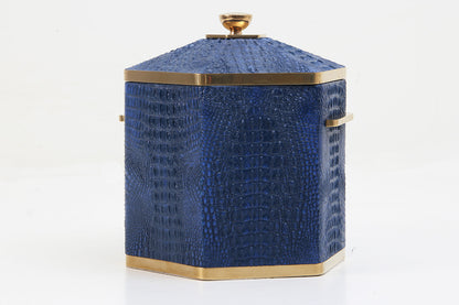 Unique Blue Ice bucket for Home entertainers