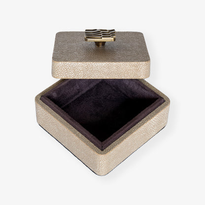 Jewellery box Treasure box Trinket box  in Dune shagreen 