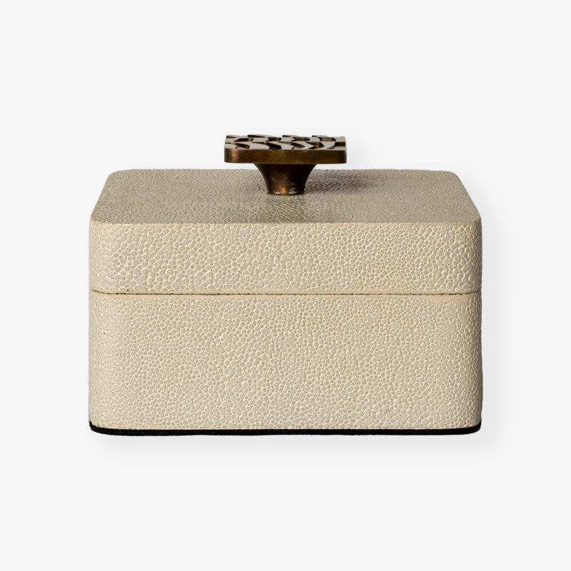 Trinket box treasure box jewellery box in white shagreen by Rachel Winham 