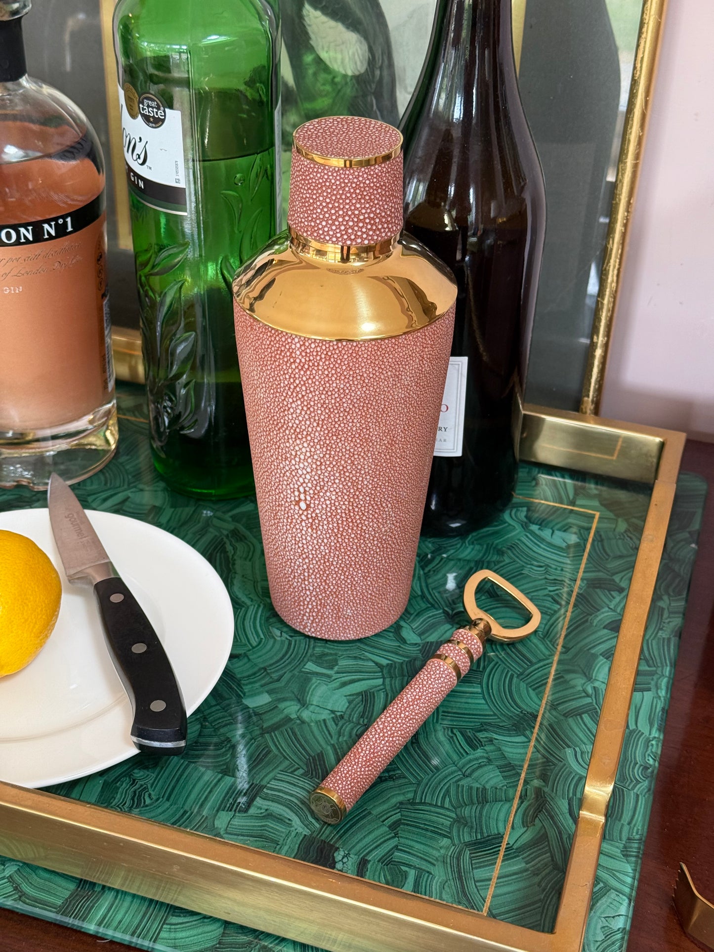 Bottle Opener in Coral Shagreen