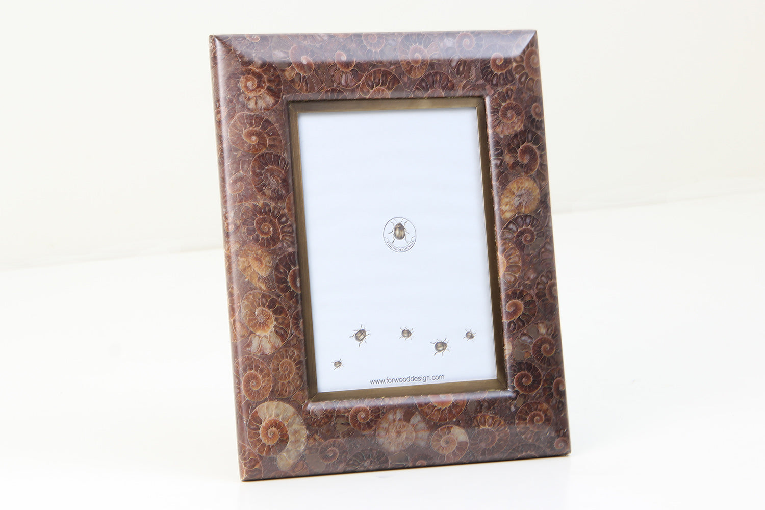 Ammonite Photo Frame7 x 5 inches