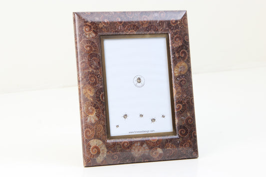 Ammonite Photo Frame7 x 5 inches