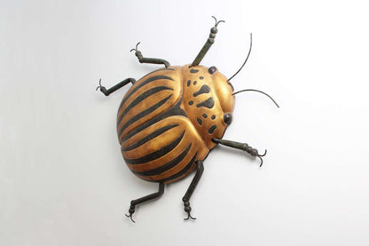 Beetle Bug Wall Art