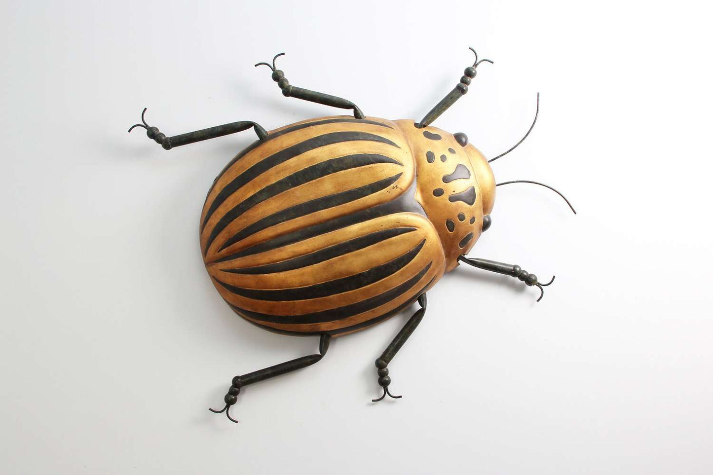 Beetle Bug Wall Art