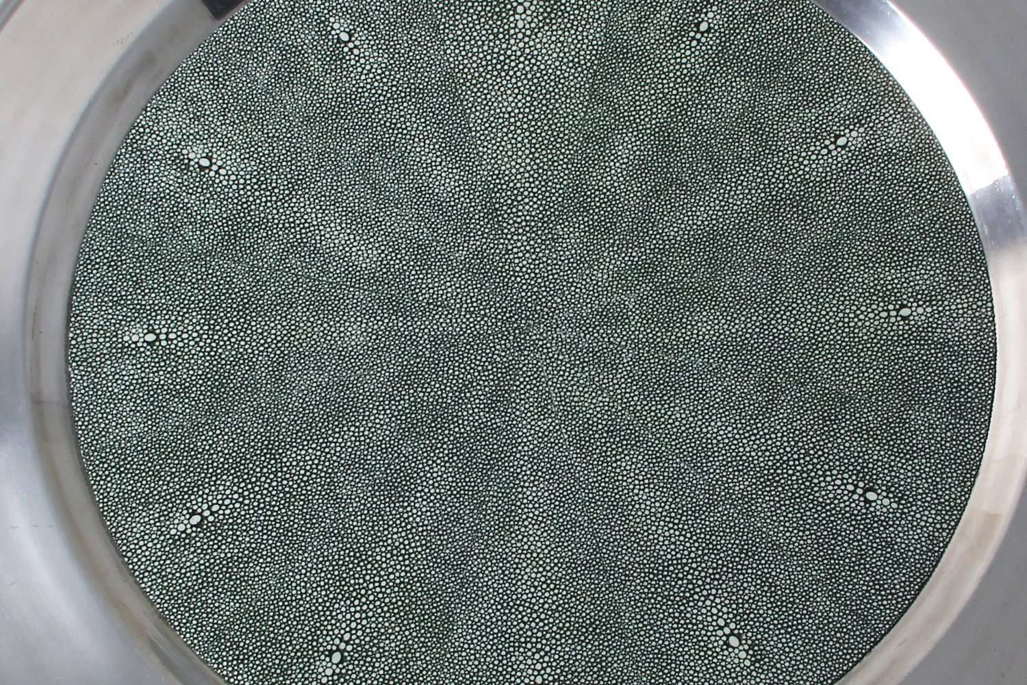 serving tray luxury Green shagreen serving tray