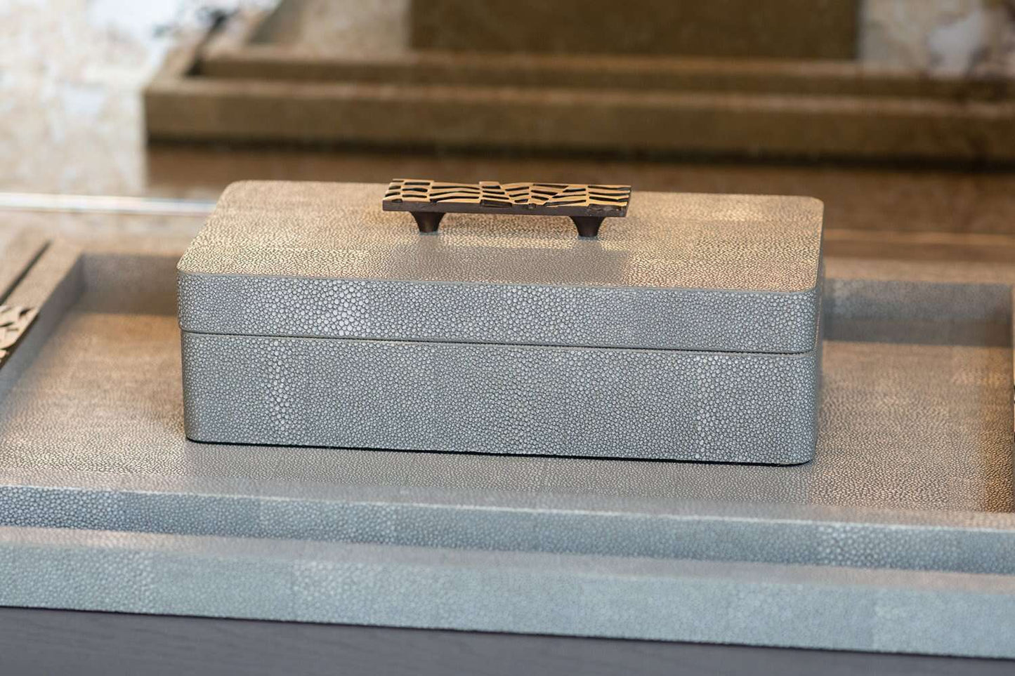 treasure box green shagreen remote box