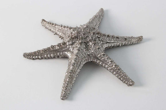 Starfish Sculpture in Solid Stainless Steel