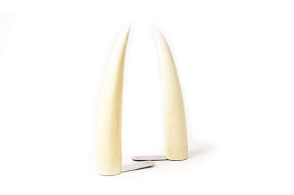 Faux Tusk Bookends